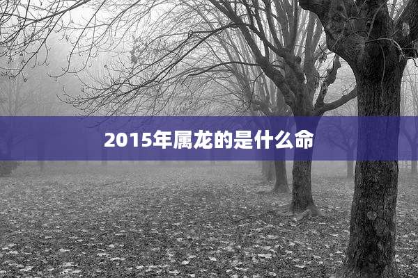 2015年属龙的是什么命