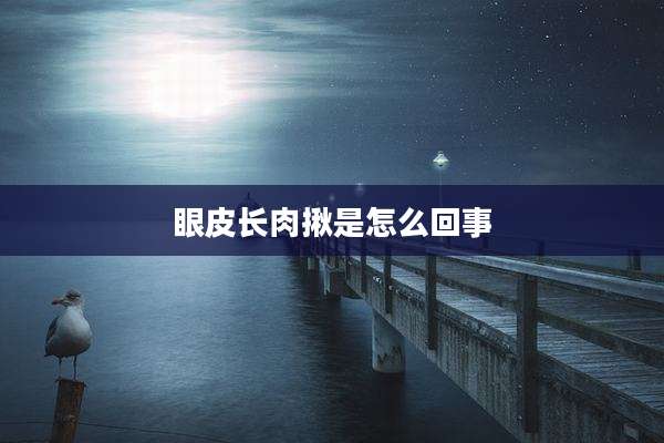 眼皮长肉揪是怎么回事