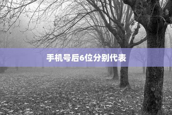 手机号后6位分别代表