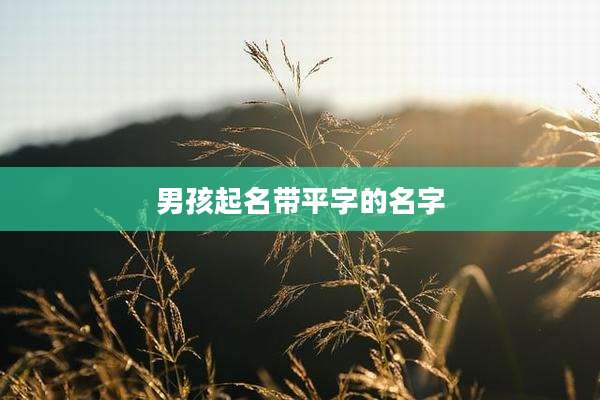 男孩起名带平字的名字