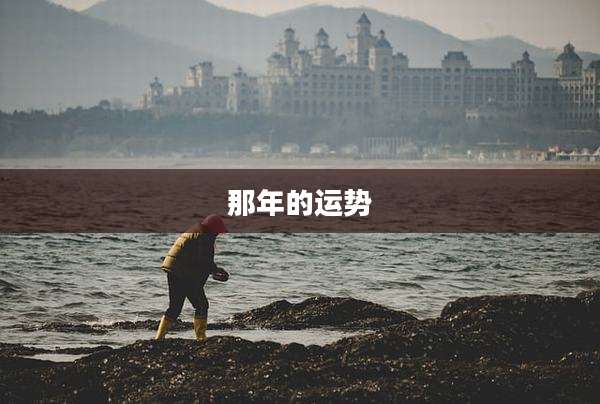 那年的运势
