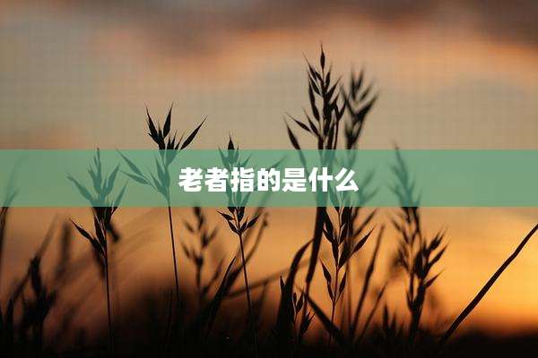 老者指的是什么