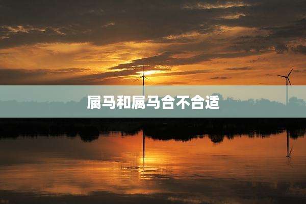 属马和属马合不合适