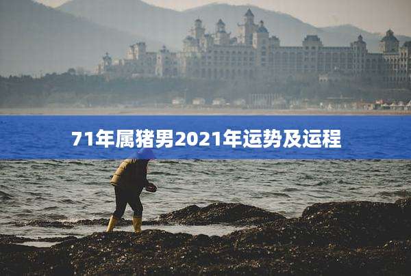 71年属猪男2021年运势及运程
