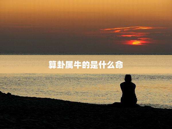 算卦属牛的是什么命