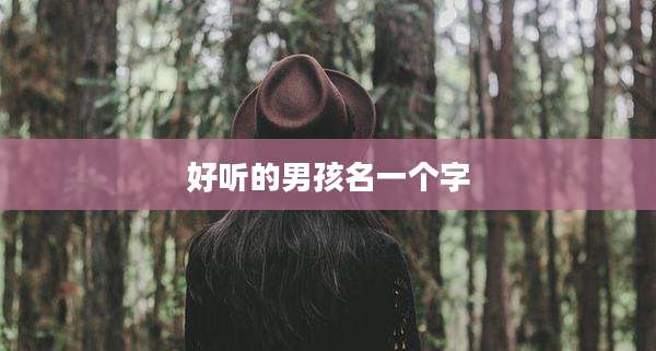 好听的男孩名一个字