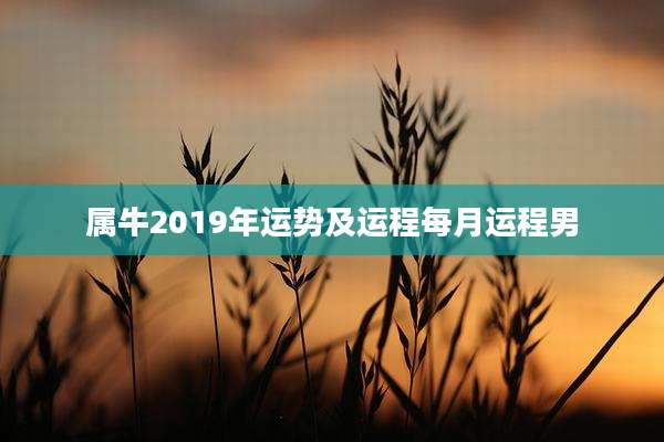 属牛2019年运势及运程每月运程男