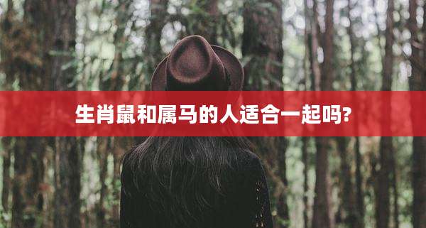 生肖鼠和属马的人适合一起吗?