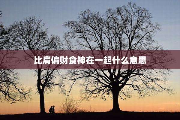 比肩偏财食神在一起什么意思