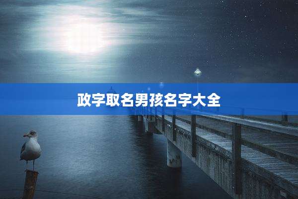 政字取名男孩名字大全