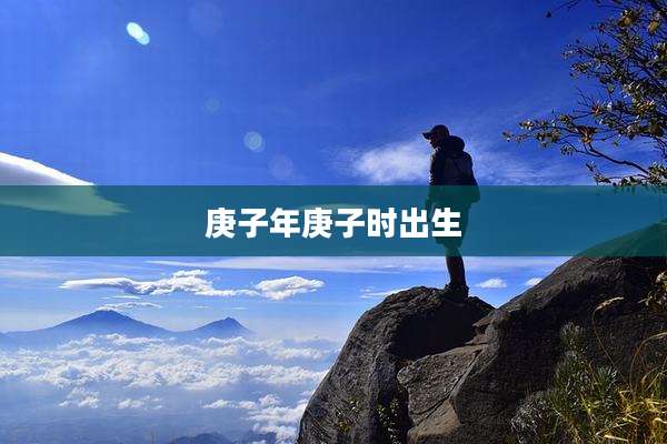 庚子年庚子时出生