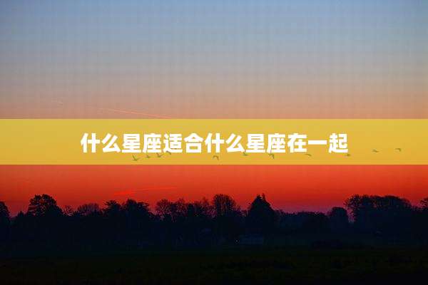 什么星座适合什么星座在一起