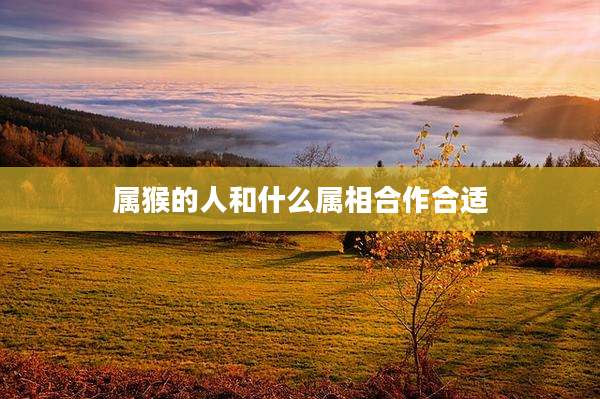 属猴的人和什么属相合作合适