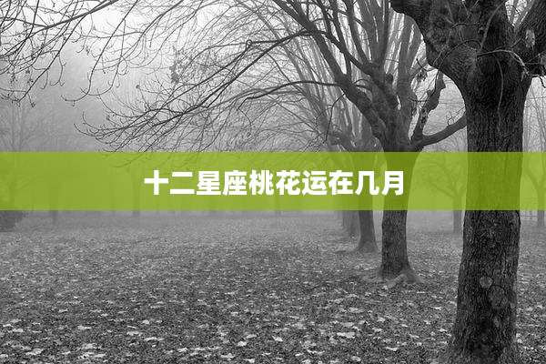 十二星座桃花运在几月
