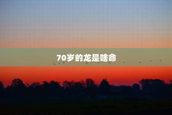 70岁的龙是啥命