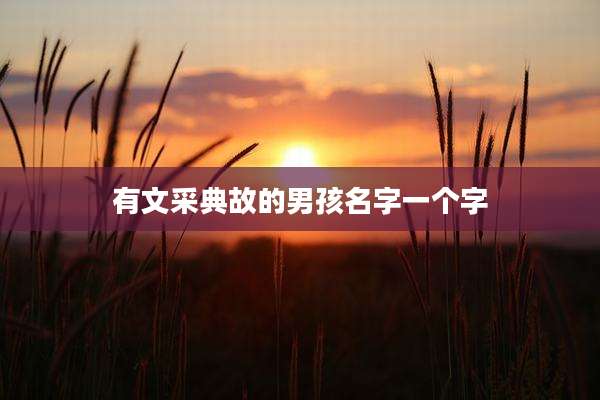 有文采典故的男孩名字一个字