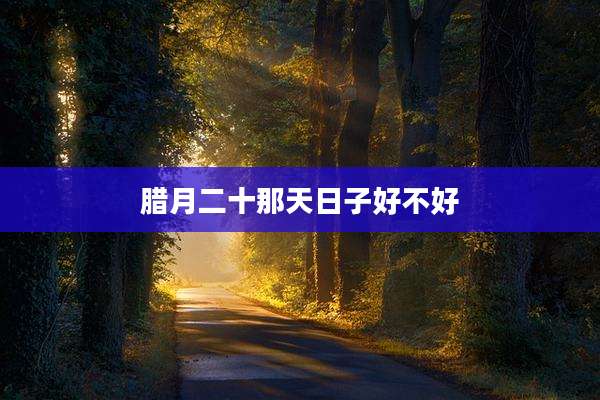 腊月二十那天日子好不好