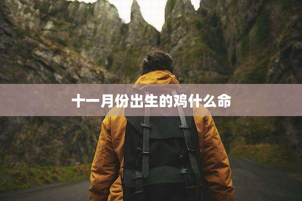 十一月份出生的鸡什么命