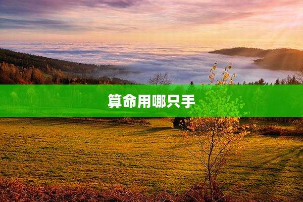 算命用哪只手