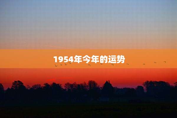 1954年今年的运势