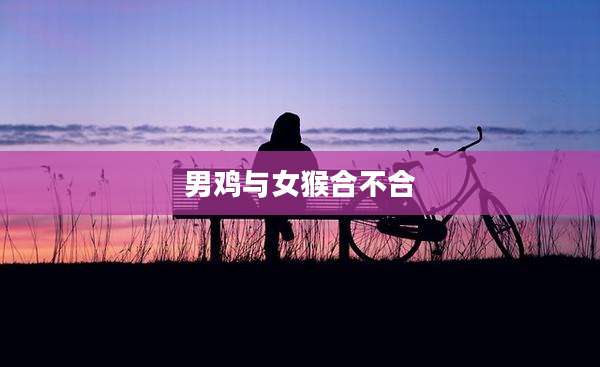 男鸡与女猴合不合