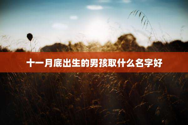 十一月底出生的男孩取什么名字好