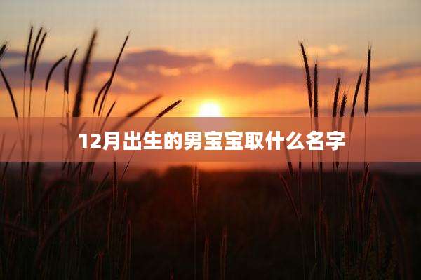 12月出生的男宝宝取什么名字