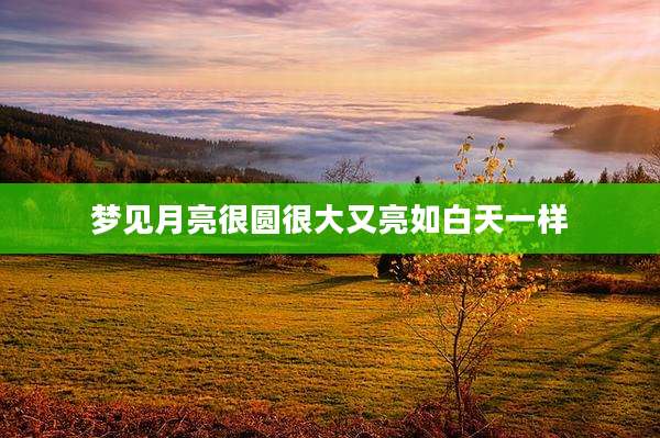 梦见月亮很圆很大又亮如白天一样
