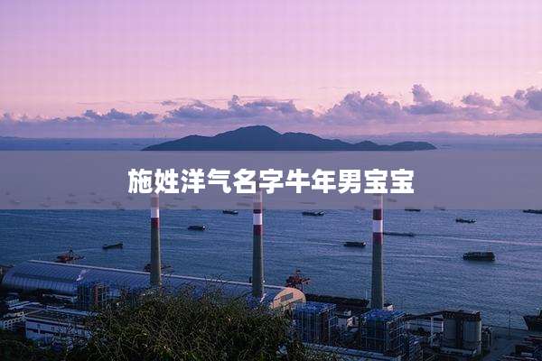施姓洋气名字牛年男宝宝