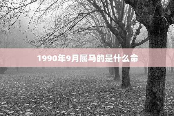 1990年9月属马的是什么命