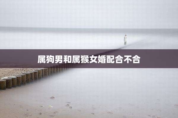 属狗男和属猴女婚配合不合