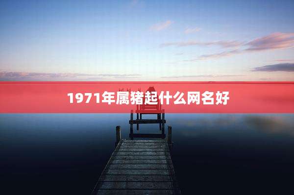 1971年属猪起什么网名好