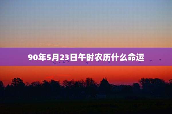 90年5月23日午时农历什么命运