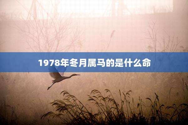 1978年冬月属马的是什么命