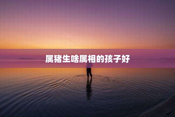属猪生啥属相的孩子好