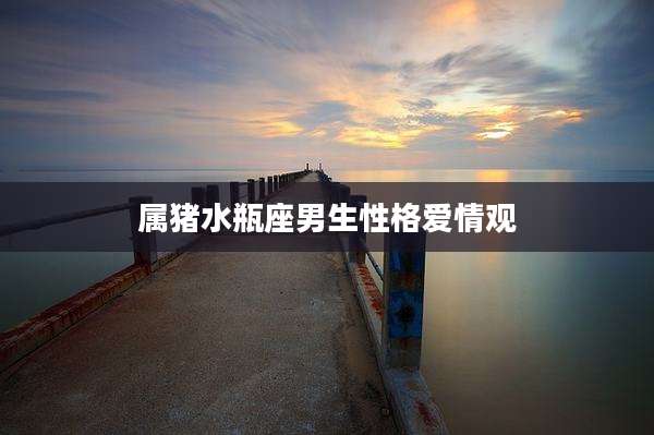 属猪水瓶座男生性格爱情观