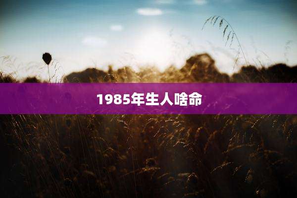 1985年生人啥命