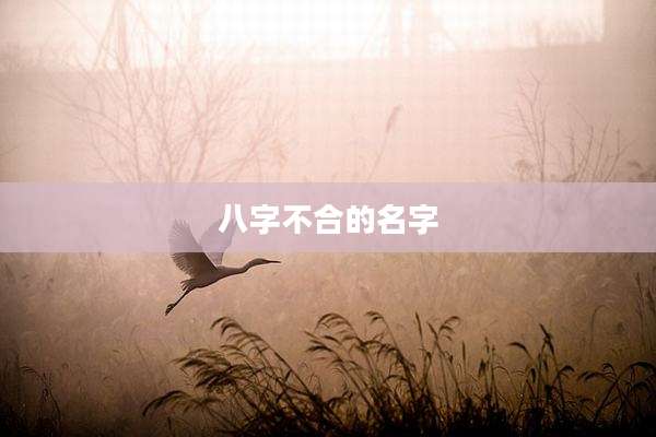 八字不合的名字