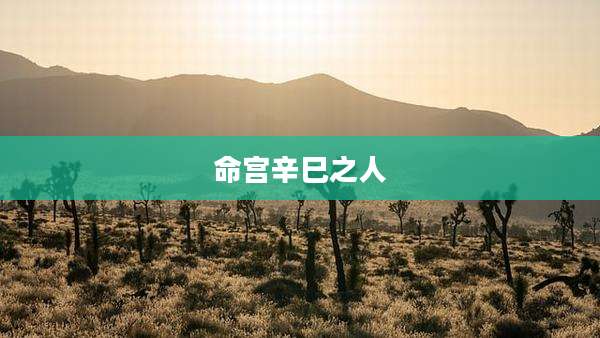 命宫辛巳之人
