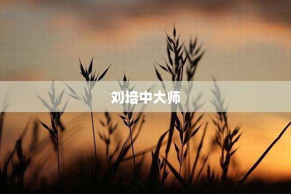 刘培中大师