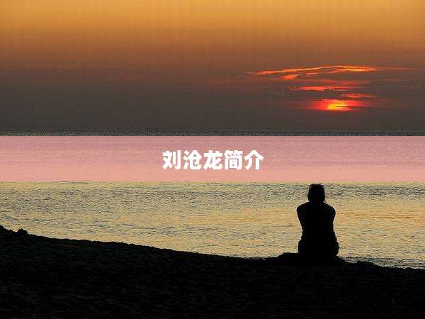 刘沧龙简介