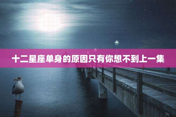 十二星座单身的原因只有你想不到上一集