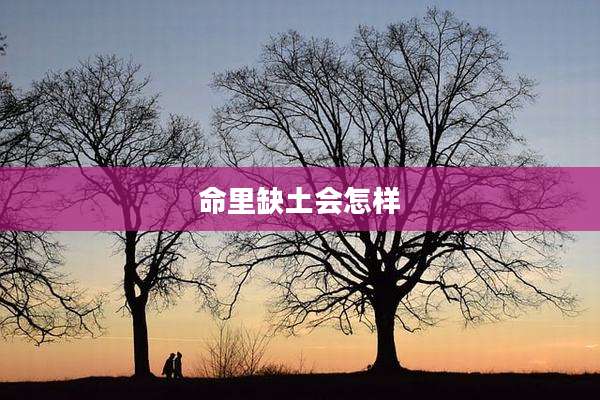 命里缺土会怎样