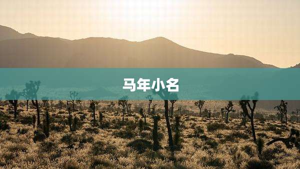 马年小名