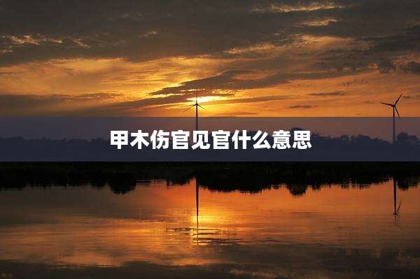 甲木伤官见官什么意思