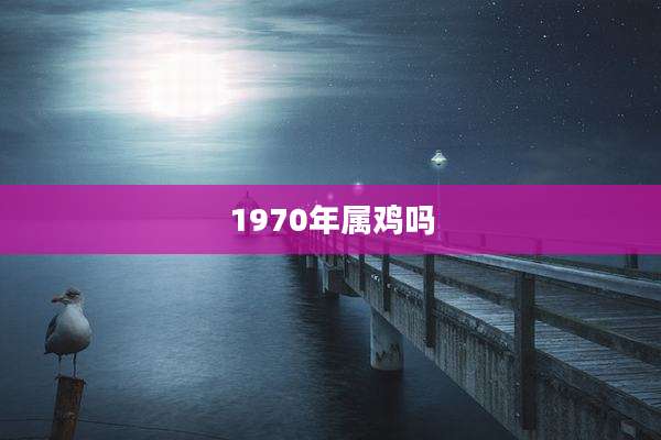 1970年属鸡吗