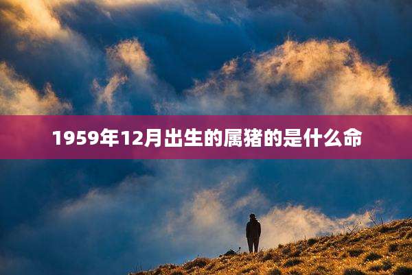 1959年12月出生的属猪的是什么命
