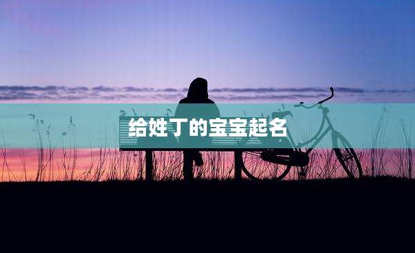 给姓丁的宝宝起名