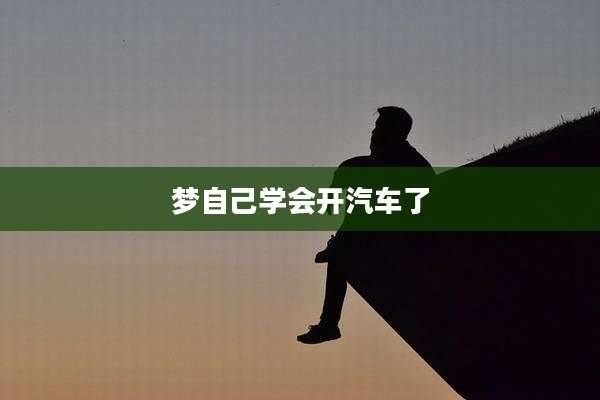 梦自己学会开汽车了