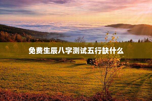 免费生辰八字测试五行缺什么